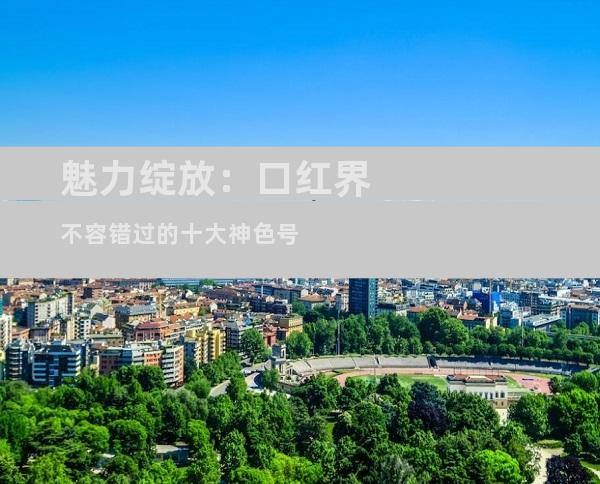 魅力绽放：口红界不容错过的十大神色号